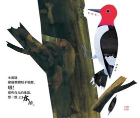 《猫咪午餐吃什么》：这本书在视觉和听觉上带来双重享受