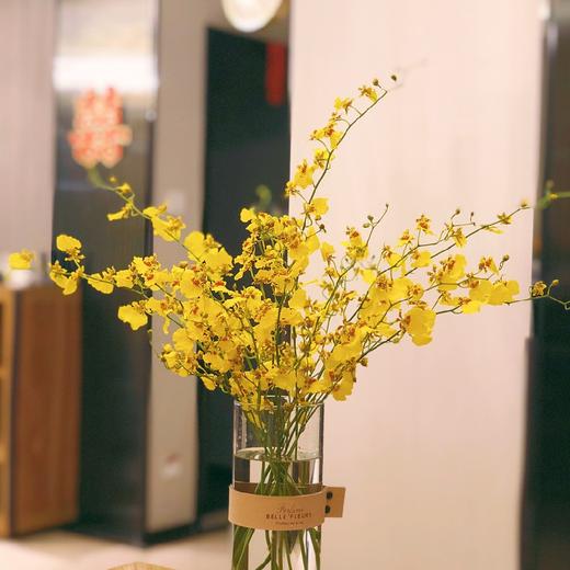 跳舞兰10枝一扎 商品图0