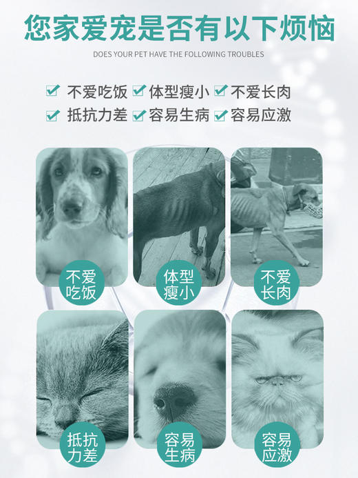 拜卡猫犬通用肥宅水30ml助发腮宠物营养液调理肠胃 商品图2
