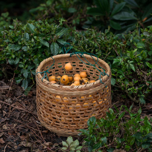 【产地直发包邮】山季—枇杷膏 商品图3