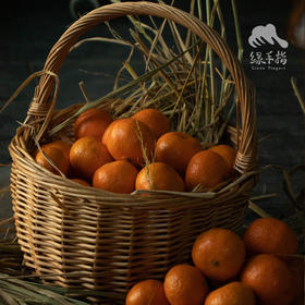 生态砂糖橘 | 合作生产 *Sand Sugar Orange | Coproduction