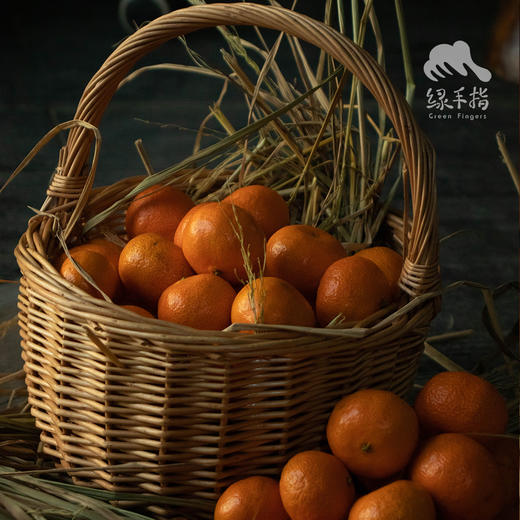 生态砂糖橘 | 合作生产 *Sand Sugar Orange | Coproduction 商品图0