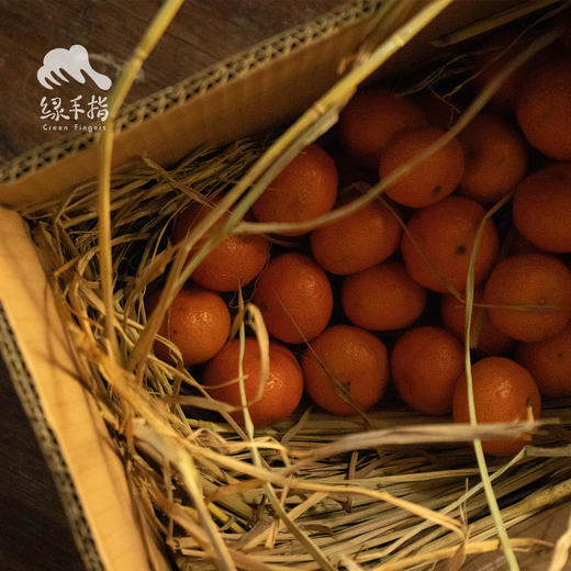 生态砂糖橘 | 合作生产 *Sand Sugar Orange | Coproduction 商品图4