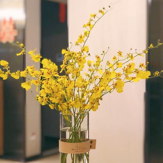 跳舞兰10枝一扎 商品图1