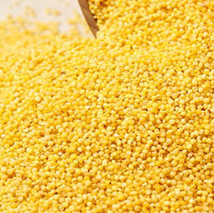 农心小米(2.5kg) 安营杂寨 沈农品质 特色小米 商品图6