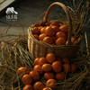 生态砂糖橘 | 合作生产 *Sand Sugar Orange | Coproduction 商品缩略图5
