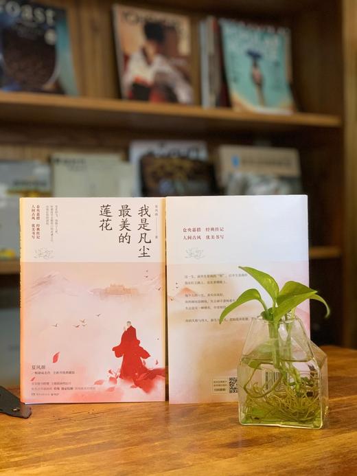 我是凡尘最美的莲花 夏风颜 著 文学散杂文随笔书籍 商品图1