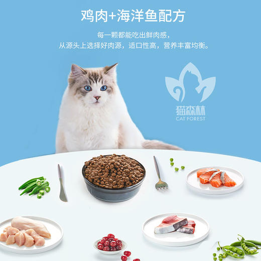 2021年1月猫生日礼包 商品图3