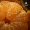 生态砂糖橘 | 合作生产 *Sand Sugar Orange | Coproduction 商品缩略图3