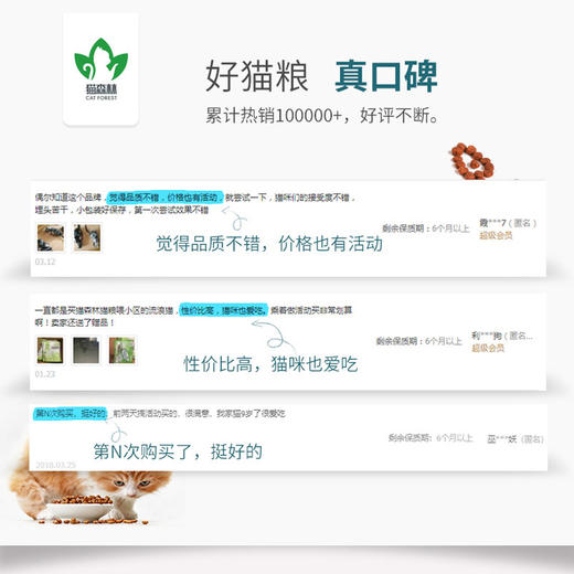 2021年1月猫生日礼包 商品图4