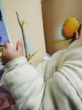 《完美搭档》：朋友，不仅是相互陪伴，还是相互帮助”