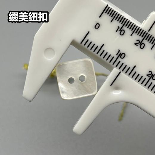 四方二眼河贝(整包购买) 商品图4