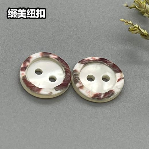 花边二眼塔螺(整包购买) 商品图1