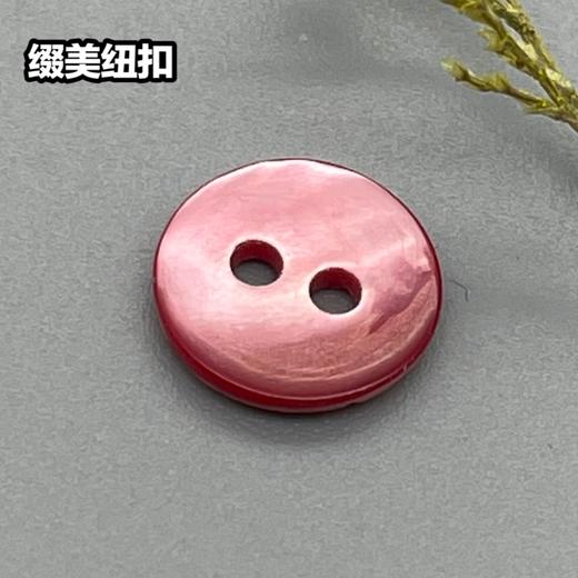 双平二眼鞠灰贝壳(整包购买) 商品图5