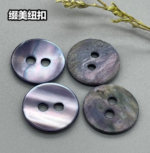 双平二眼鞠灰贝壳(整包购买) 商品图3