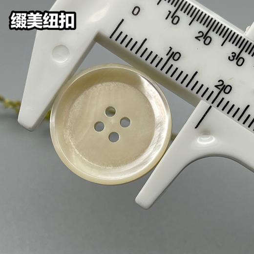 倒边四眼塔螺(整包购买) 商品图4