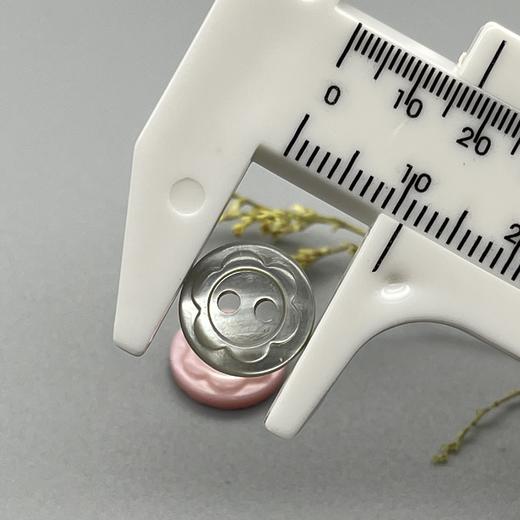 花形塔螺贝壳(整包购买) 商品图4