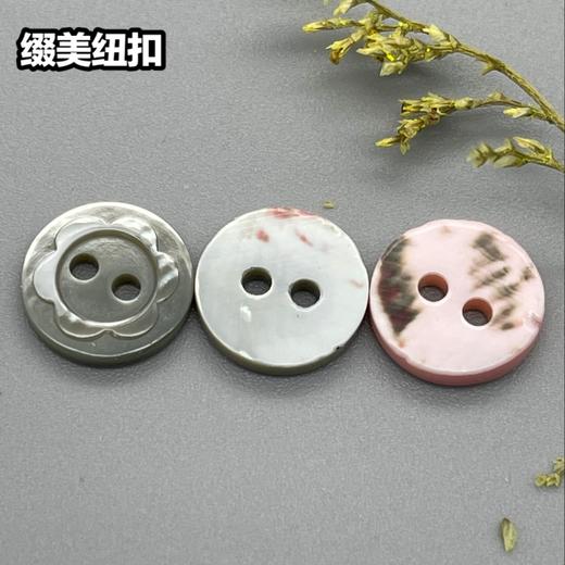 花形塔螺贝壳(整包购买) 商品图1