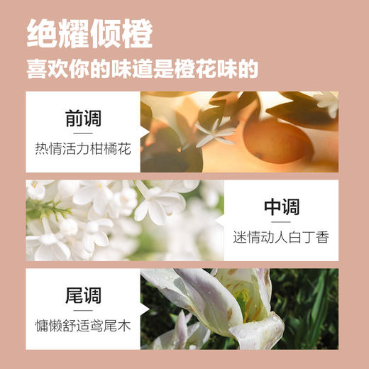 Pote柏缇郁金香滋润洗发露氨基酸留香柔顺改善毛躁蓬松止痒洗发水 商品图1