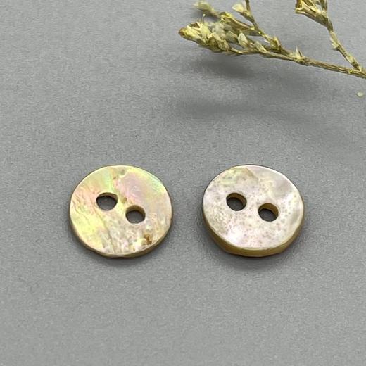 双平二眼鲍鱼贝壳(整包购买) 商品图3