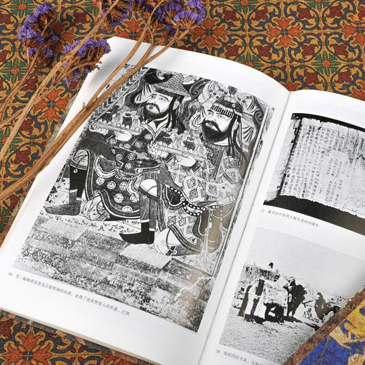 【老牛精选推荐】后浪  劫掠丝绸之路 从斯文•赫定到斯坦因的中国寻宝历程 商品图4