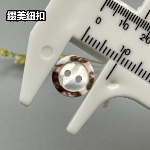 花边二眼塔螺(整包购买) 商品图3