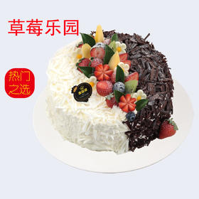 【8英寸】多选一 水果系列（三）