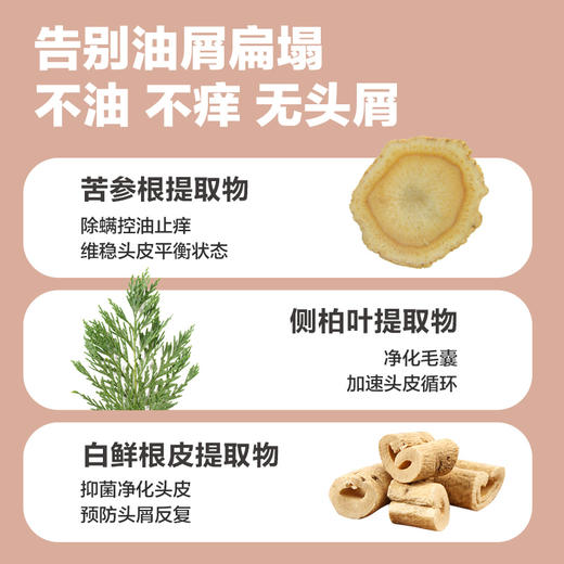 Pote柏缇郁金香滋润洗发露氨基酸留香柔顺改善毛躁蓬松止痒洗发水 商品图3