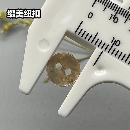 双平二眼鲍鱼贝壳(整包购买) 商品图6