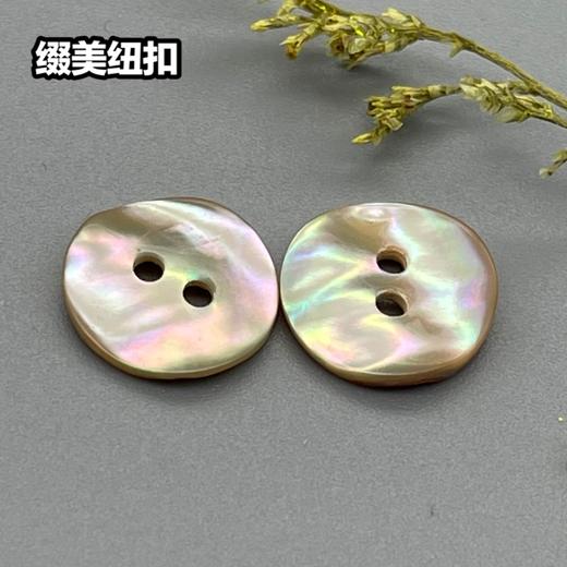 双平二眼鲍鱼贝壳(整包购买) 商品图1