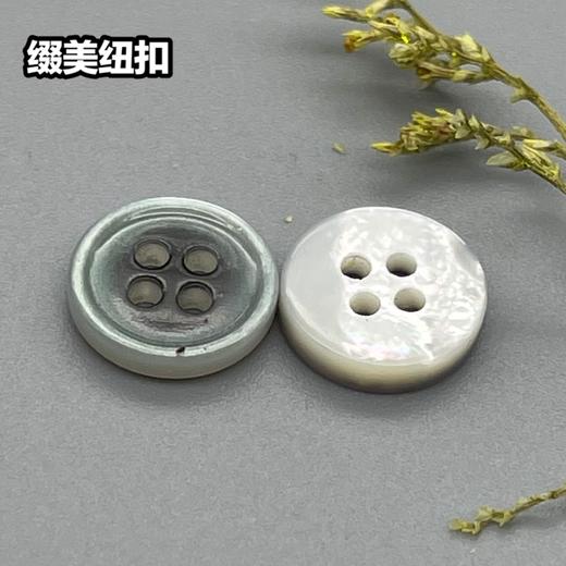 细边塔螺贝壳(整包购买) 商品图0