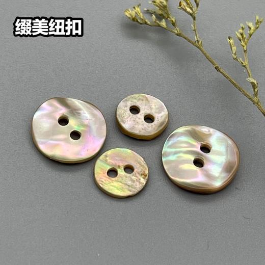 双平二眼鲍鱼贝壳(整包购买) 商品图5