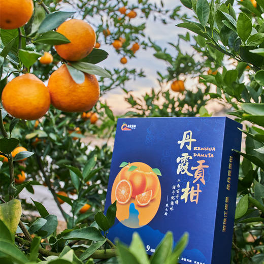 仁化丹霞贡柑 粒粒甄选，柑中“贵”族，国家地理标志保护农产品，正式发售！ 商品图1