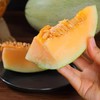 1个海南小蜜瓜 2.5斤±200g 商品缩略图1