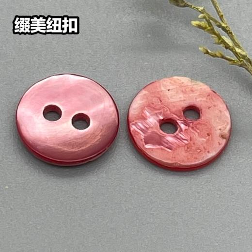 双平二眼鞠灰贝壳(整包购买) 商品图7