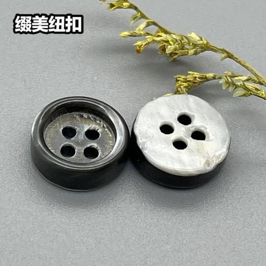 细边塔螺贝壳(整包购买) 商品图0