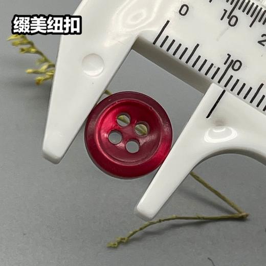 倒边塔螺贝壳(整包购买) 商品图2