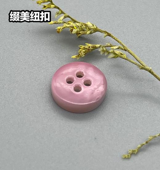 内倒塔螺贝壳(整包购买) 商品图1