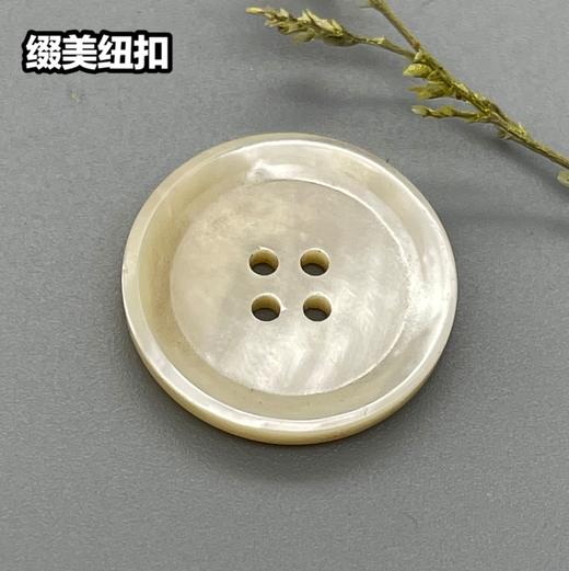 倒边四眼塔螺(整包购买) 商品图0