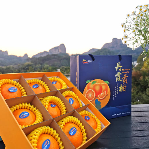 仁化丹霞贡柑 粒粒甄选，柑中“贵”族，国家地理标志保护农产品，正式发售！ 商品图5