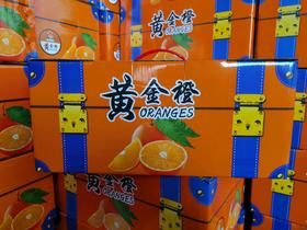 黄金橙一箱