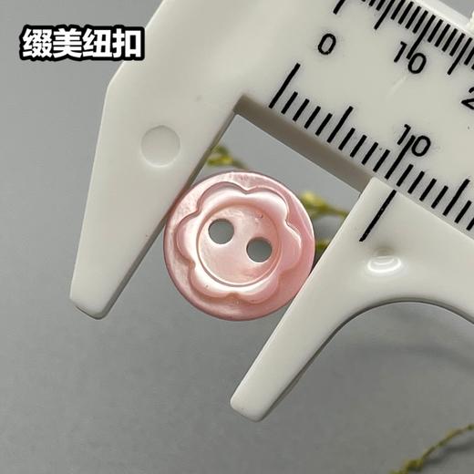 花形塔螺贝壳(整包购买) 商品图3