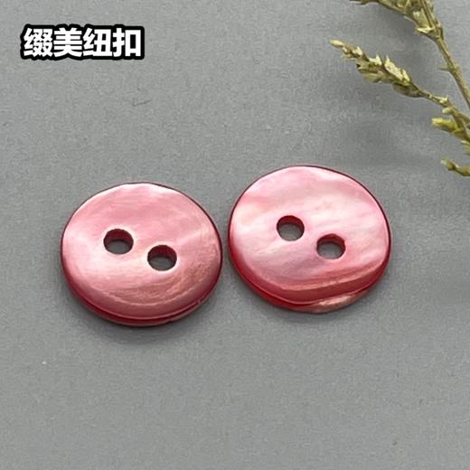 双平二眼鞠灰贝壳(整包购买) 商品图6