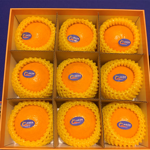 仁化丹霞贡柑 粒粒甄选，柑中“贵”族，国家地理标志保护农产品，正式发售！ 商品图2