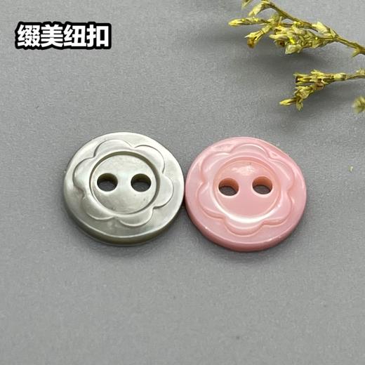 花形塔螺贝壳(整包购买) 商品图0