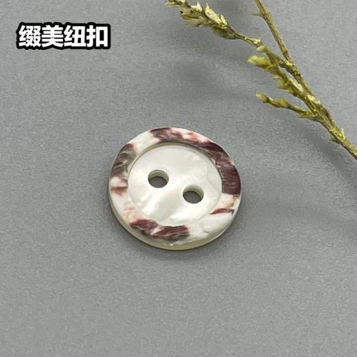 花边二眼塔螺(整包购买) 商品图0