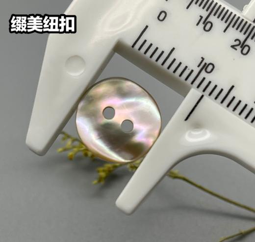 双平二眼鲍鱼贝壳(整包购买) 商品图7