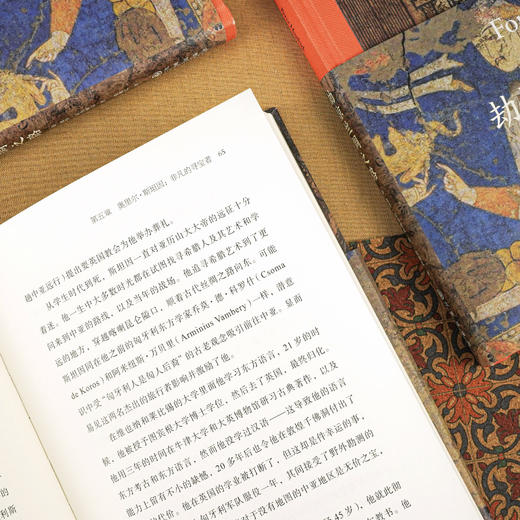 【老牛精选推荐】后浪  劫掠丝绸之路 从斯文•赫定到斯坦因的中国寻宝历程 商品图5