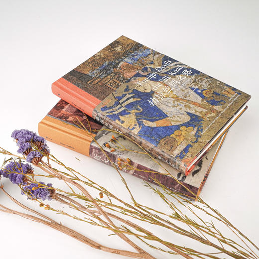 【老牛精选推荐】后浪  劫掠丝绸之路 从斯文•赫定到斯坦因的中国寻宝历程 商品图3