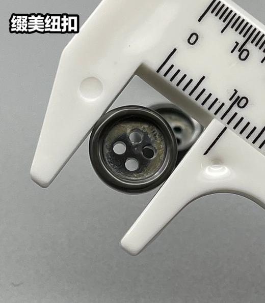 细边塔螺贝壳(整包购买) 商品图2